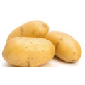 New Crop Fresh Potato Supplier From China